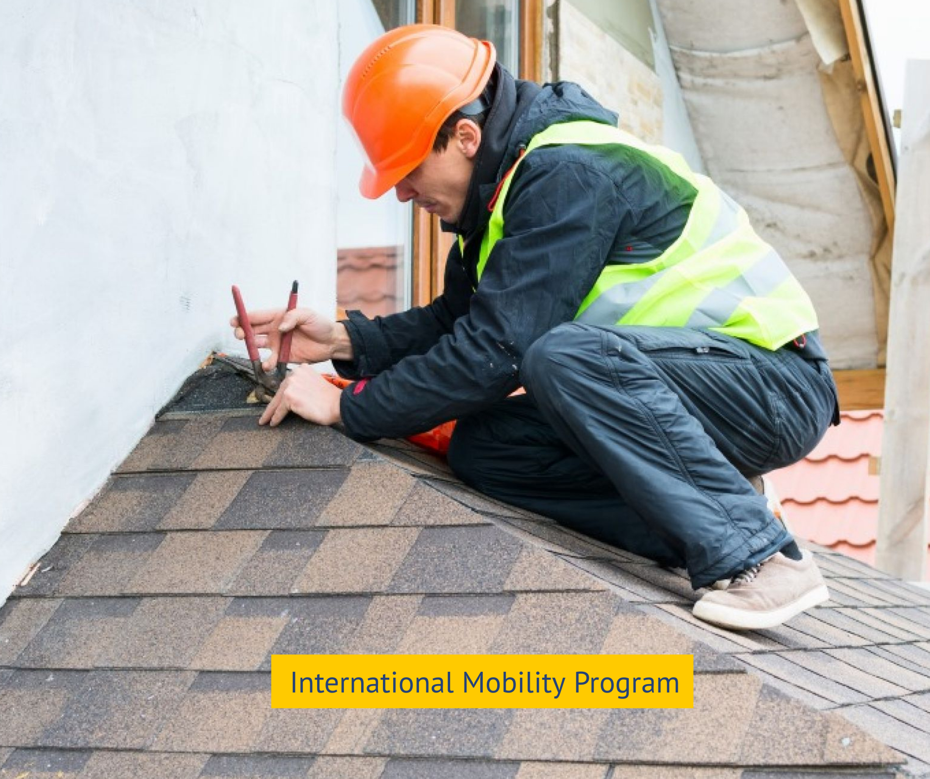 International Mobility Program