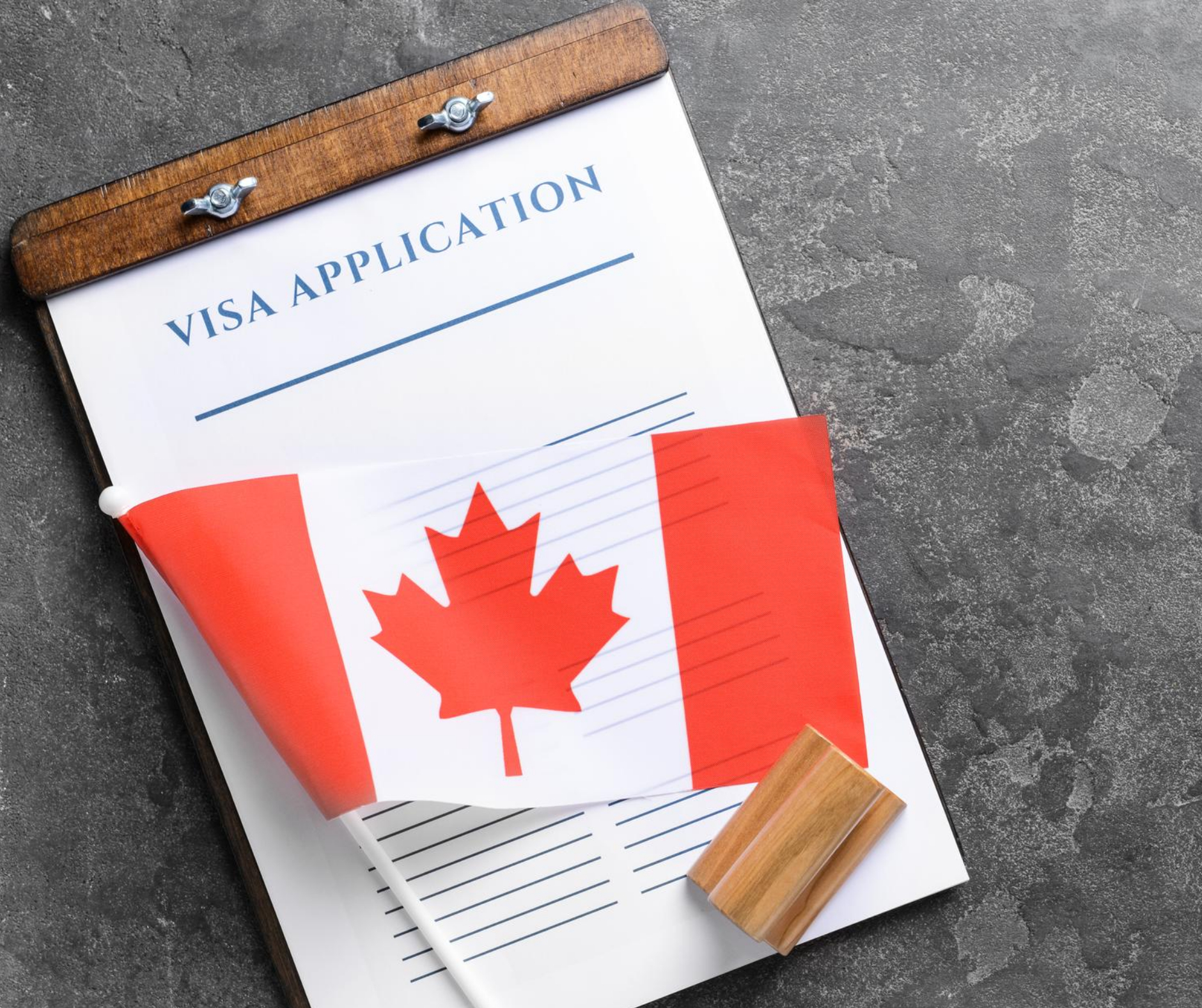 visa and immigration support